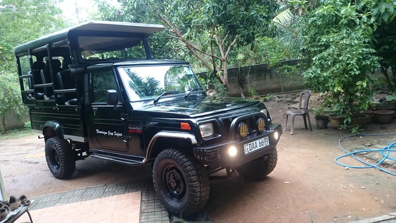 Kottamba Yala Stay & Safari Tissamaharama Exteriör bild